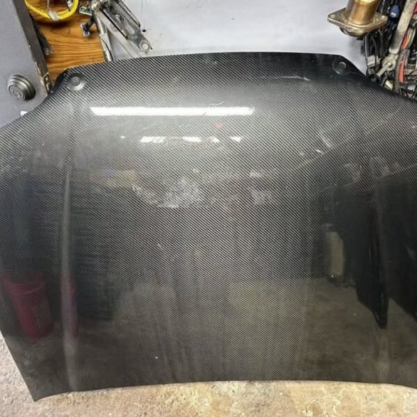 EG Carbon hood