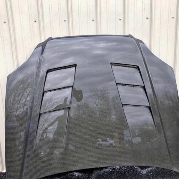 96-98 Civic Ek seibon TS-style Hood